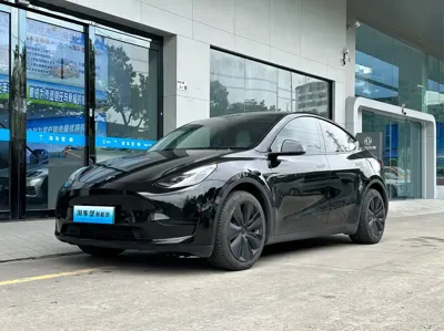 Tesla Model Y · 2022 год