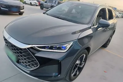BYD Tang New Energy · 2024 год