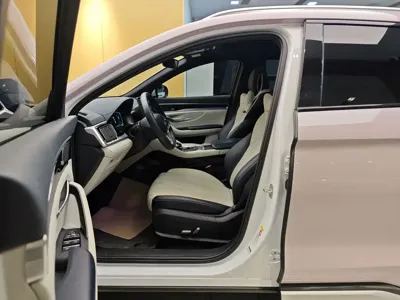 BYD PLUS New Energy 2022, 38800 км, за 65800 CNY - фото 13