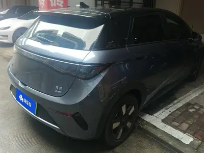 BYD Dolphin 2025, 24900 км, за 78000 CNY - фото 3