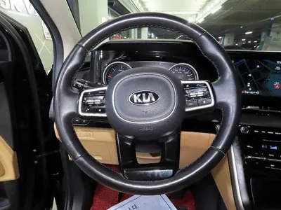 Kia Canival 2021, 134281 км, за 20500000 KRW - фото 8
