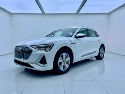 Audi e-tron · 2026 год
