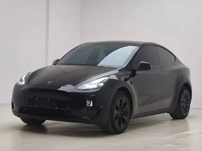 Tesla Model Y · 2022 год