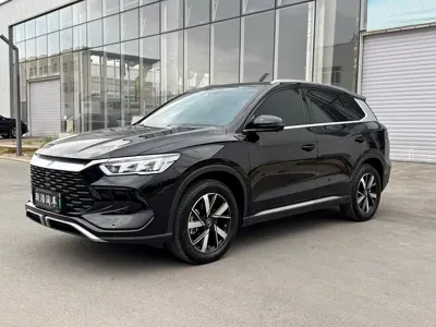 BYD Pro New Energy · 2024 год