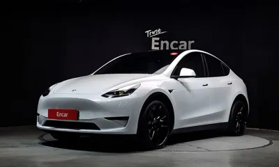 Tesla Model Y · 2024 год