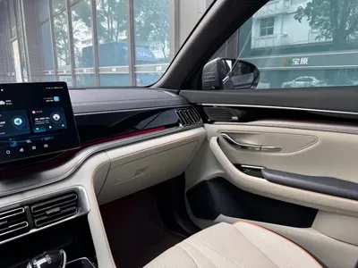 BYD PLUS New Energy 2021, 38000 км, за 71800 CNY - фото 20