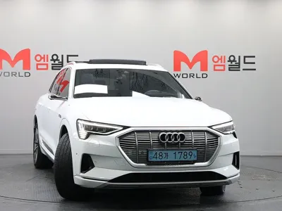 Audi e-tron 2022, 72300 км, за 45900000 KRW
