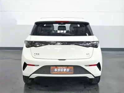 BYD Dolphin 2025, 23400 км, за 75800 CNY - фото 4