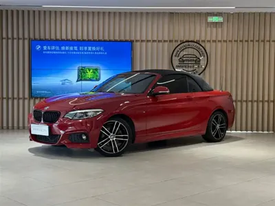 BMW 2 Series (Import) · 2021 год