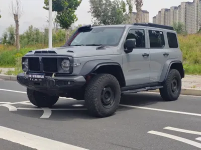 Tank Tank 300 · 2024 год