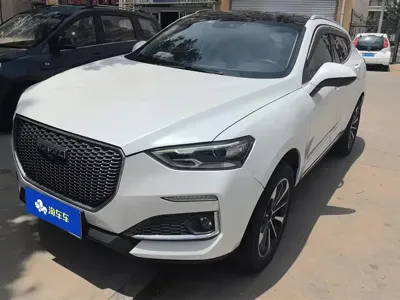 Haval F5 · 2019 год