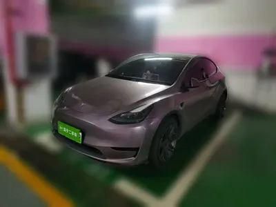 Tesla Model Y 2023, 48000 км, за 173299 CNY - фото 1