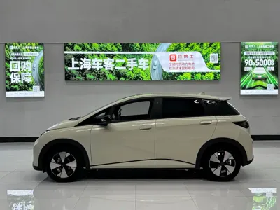 BYD Dolphin 2023, 50000 км, за 61800 CNY