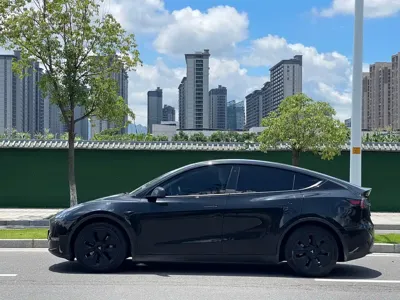 Tesla Model Y 2021, 110000 км, за 128000 CNY - фото 14