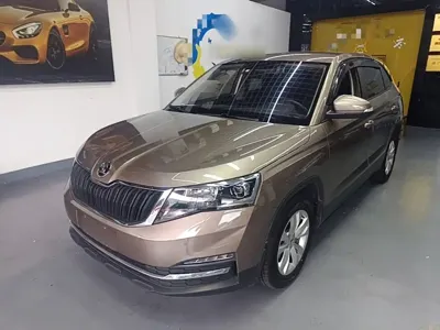 Skoda Kamiq · 2020 год