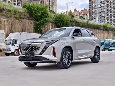 Oshan Oushang Z6 · 2024 год