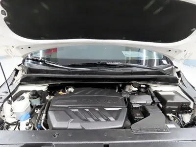 Kia Canival 2019, 129914 км, за 12550000 KRW - фото 6