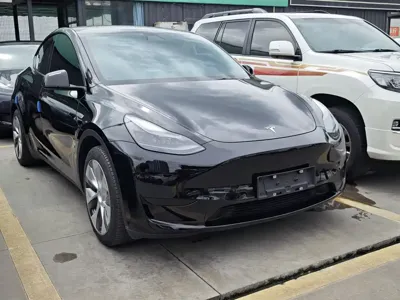 Tesla Model Y 2023, 40000 км, за 141500 CNY