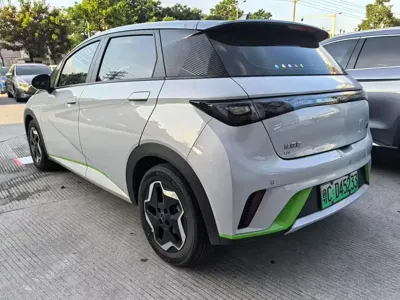 BYD Dolphin 2022, 40000 км, за 57800 CNY - фото 6