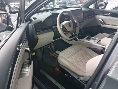 BYD Tang New Energy 2024, 39600 км, за 96900 CNY - фото 16