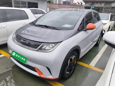BYD Dolphin · 2022 год