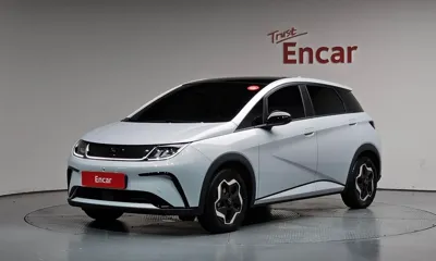 BYD Dolphin · 2026 год