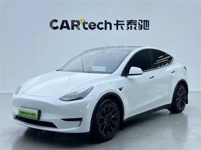 Tesla Model Y · 2024 год