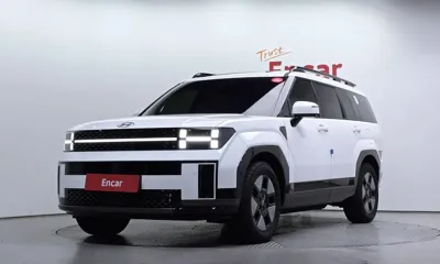 Hyundai Santafe · 2024 год