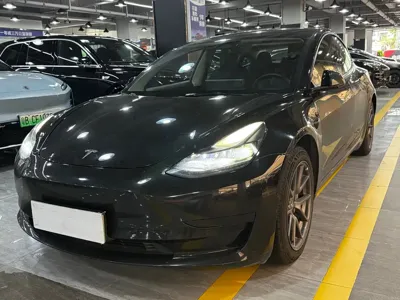 Tesla Model 3 · 2021 год