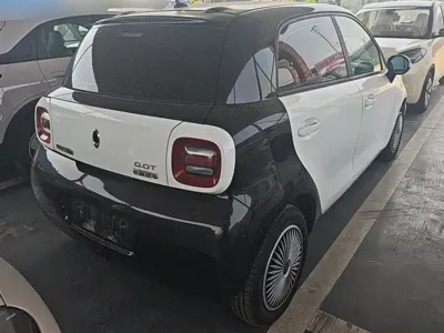 ORA Ora Black Cat 2021, 63400 км, за 33200 CNY