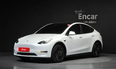 Tesla Model Y · 2021 год