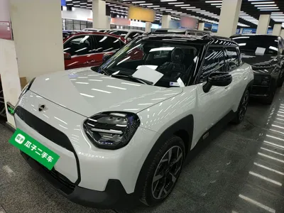 MINI Aceman · 2024 год