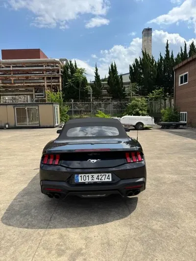 Ford Mustang 2024, 21000 км, за 50670000 KRW