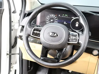 Kia Canival 2021, 135971 км, за 23800000 KRW - фото 15
