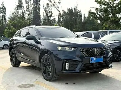 WEY Wey VV7 2020, 56000 км, за 49200 CNY