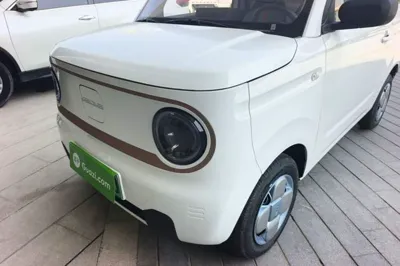 Geely Galaxy Panda 2024, 100 км, за 52657.07 CNY - фото 8