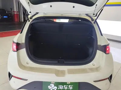 BYD Dolphin 2025, 34800 км, за 79800 CNY