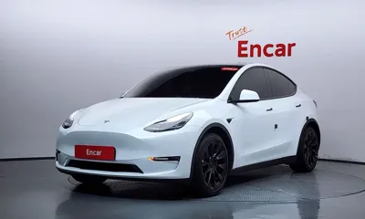 Tesla Model Y · 2021 год