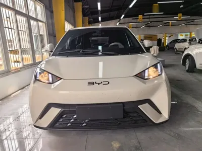 BYD Seagull 2025, 4100 км, за 55000 CNY