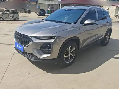 Haima Haima 8S · 2020 год