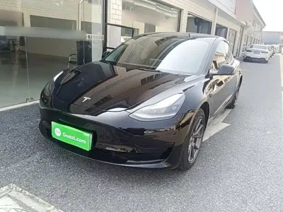 Tesla Model 3 · 2021 год