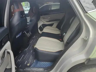 BYD PLUS New Energy 2023, 63099 км, за 86000 CNY - фото 11