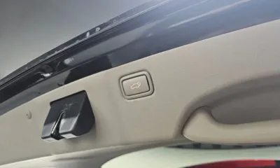 Kia Canival 2016, 293342 км, за 99990000 KRW - фото 30