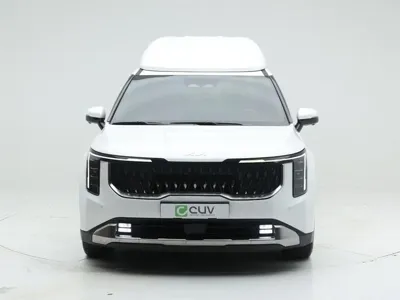 Kia Canival 2025, 31883 км, за 51200000 KRW