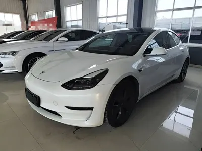 Tesla Model 3 2021, 44100 км, за 126800 CNY