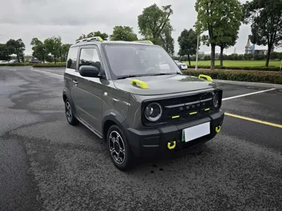 Galaxy Panda 2025, 11000 км, за 35000 CNY