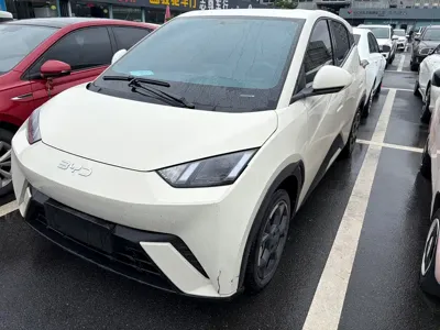 BYD Seagull · 2024 год