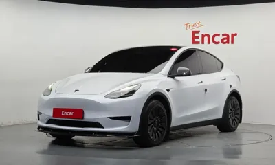 Tesla Model Y · 2024 год