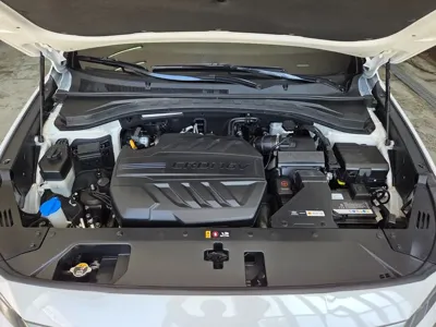 Hyundai Santafe 2020, 115621 км, за 18290000 KRW - фото 6