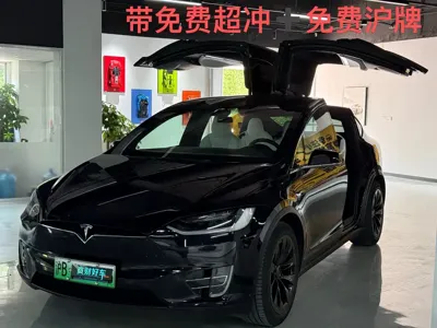 Tesla Model X · 2018 год